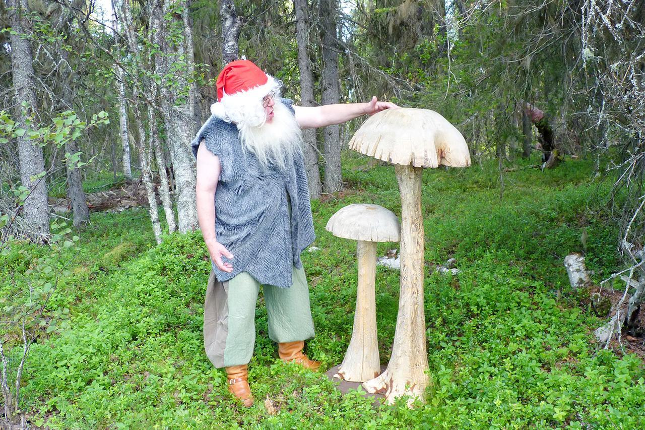 Elves Village Hotel Köngäs Extérieur photo